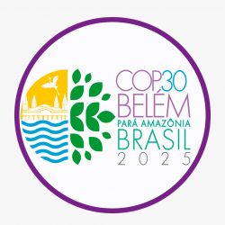 Logo COP30